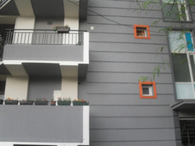 SDC13328.JPG,  bytes